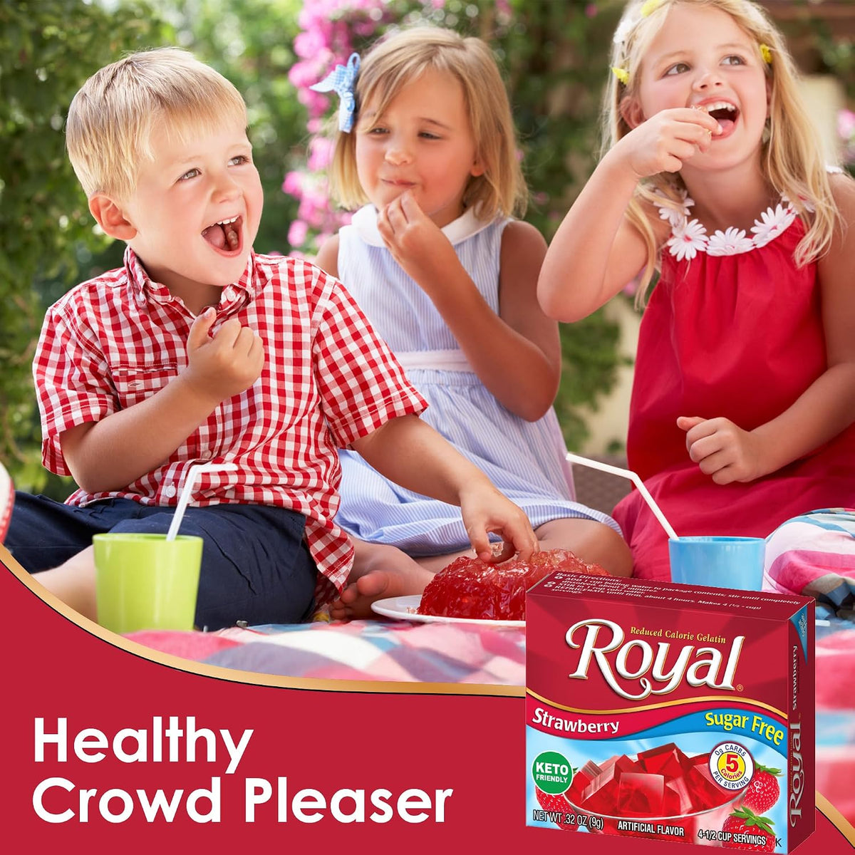 Royal Sugar Free Gelatin Mix Variety Pack - 12 Assorted Gelatin Boxes