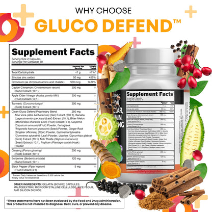 Clean Nutraceuticals Ceylon Cinnamon Capsules + Berberine Turmeric Apple Cider Vinegar Ginseng Bitter Melon (Karela) Gymnema Milk Thistle Fenugreek Supplement Pills Powder for Men & Women