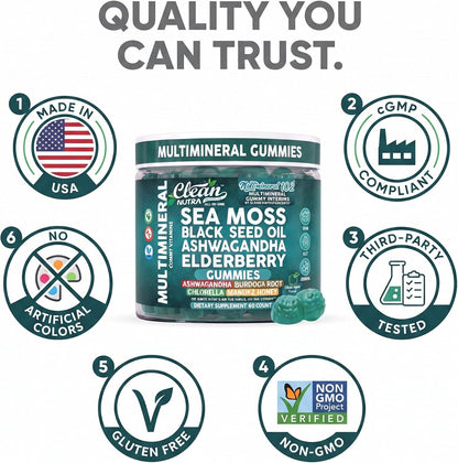 Sea Moss Gummies | Clinically Tested - Black Seed Oil Ashwagandha Elderberry Burdock Root Chlorella Manuka Honey - Vegan Irish Sea Moss Gummy Vitamins for Adults Kids Men Women - Green Apple Flavor