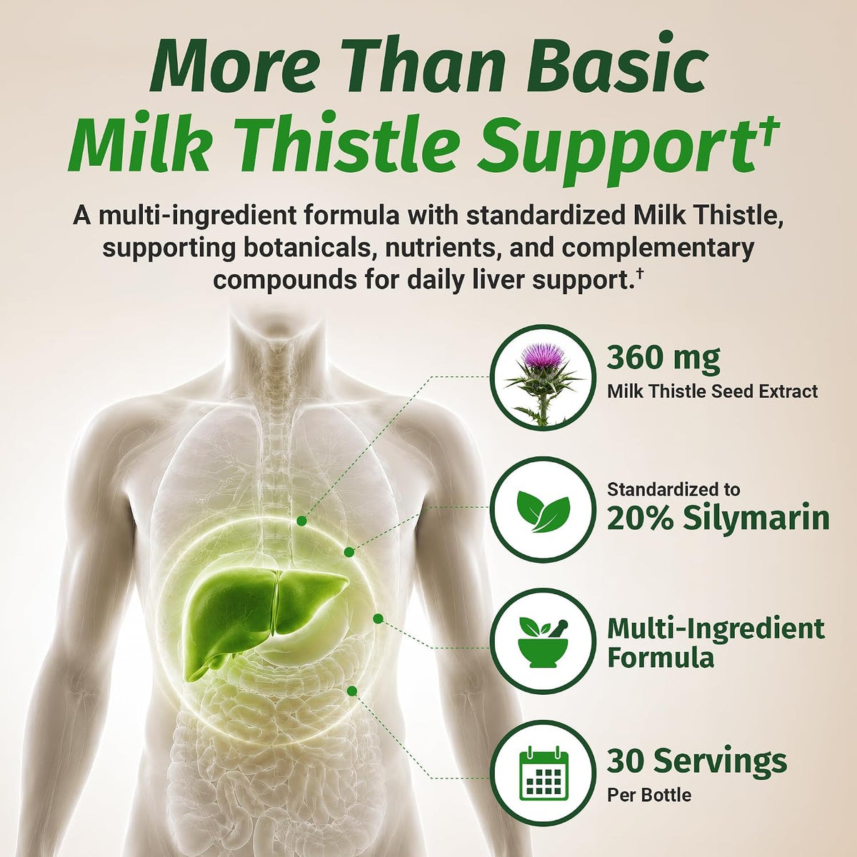 1 Body Milk Thistle Complex, Liver Support, 60 Vegan Capsules, 30 Servings