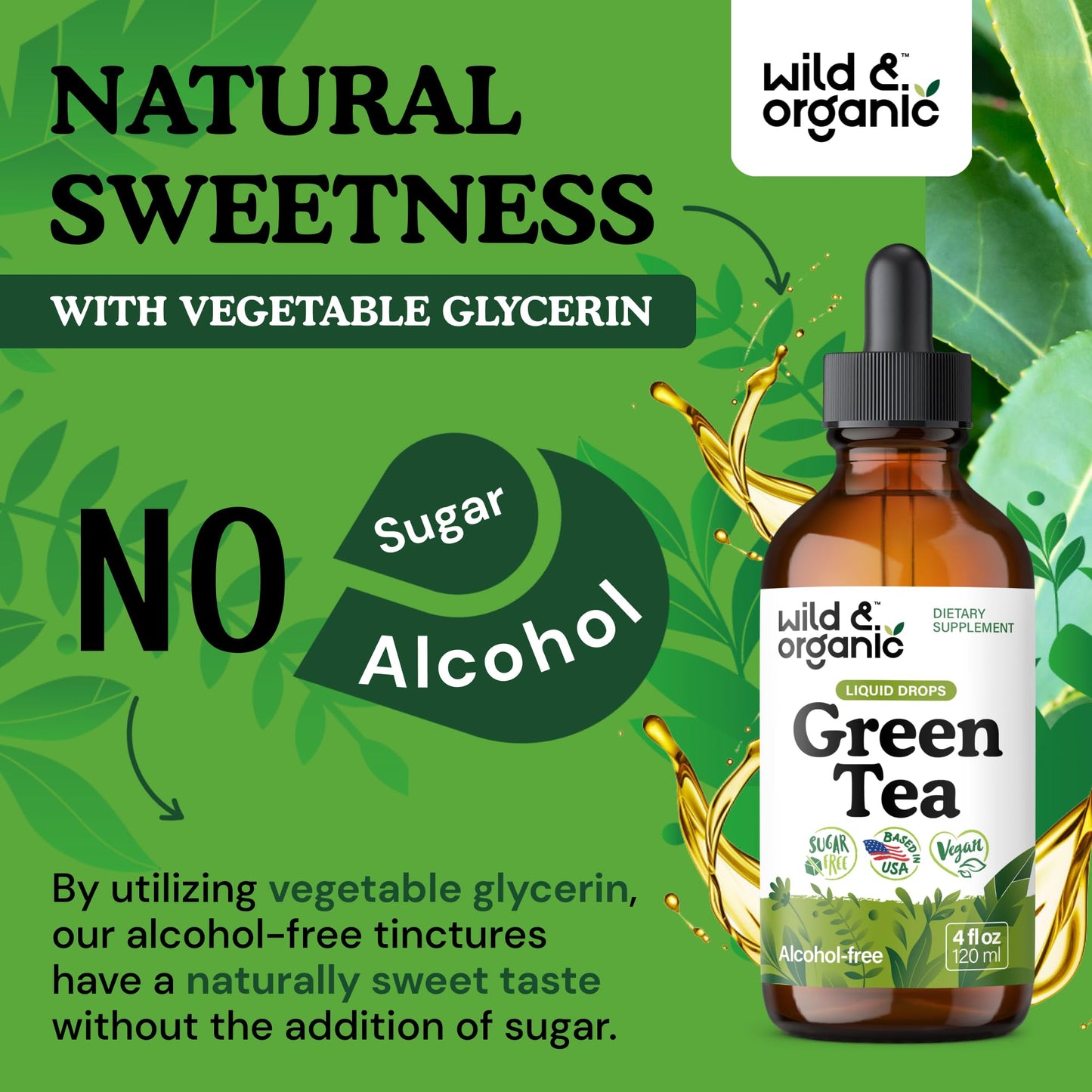 Wild & Organic Green Tea Extract Liquid Drops - Antioxidant Support - Pure Green Tea Supplement - 84-Day Supply - Vegan, Sugar & Alcohol-Free Camellia Sinensis Tincture - 4 fl oz
