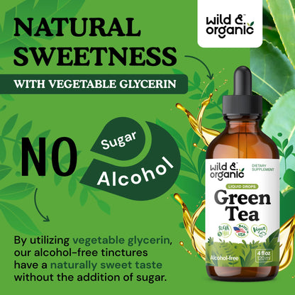 Wild & Organic Green Tea Extract Liquid Drops - Antioxidant Support - Pure Green Tea Supplement - 84-Day Supply - Vegan, Sugar & Alcohol-Free Camellia Sinensis Tincture - 4 fl oz