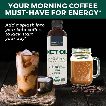Viva Naturals Organic MCT Oil, 16 fl oz – MCT Oil for Coffee, USDA Organic, Non-GMO, Paleo Certified & Keto Friendly, Supports Energy & Mental Clarity