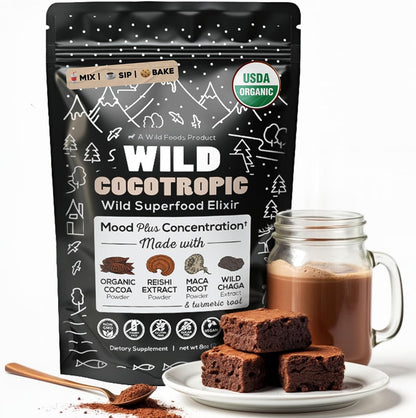 DailyNutra KSM 66 Ashwagandha (90 Capsules) and Mushroom Cacao Mix (16oz) Bundle for Relaxation and Focus