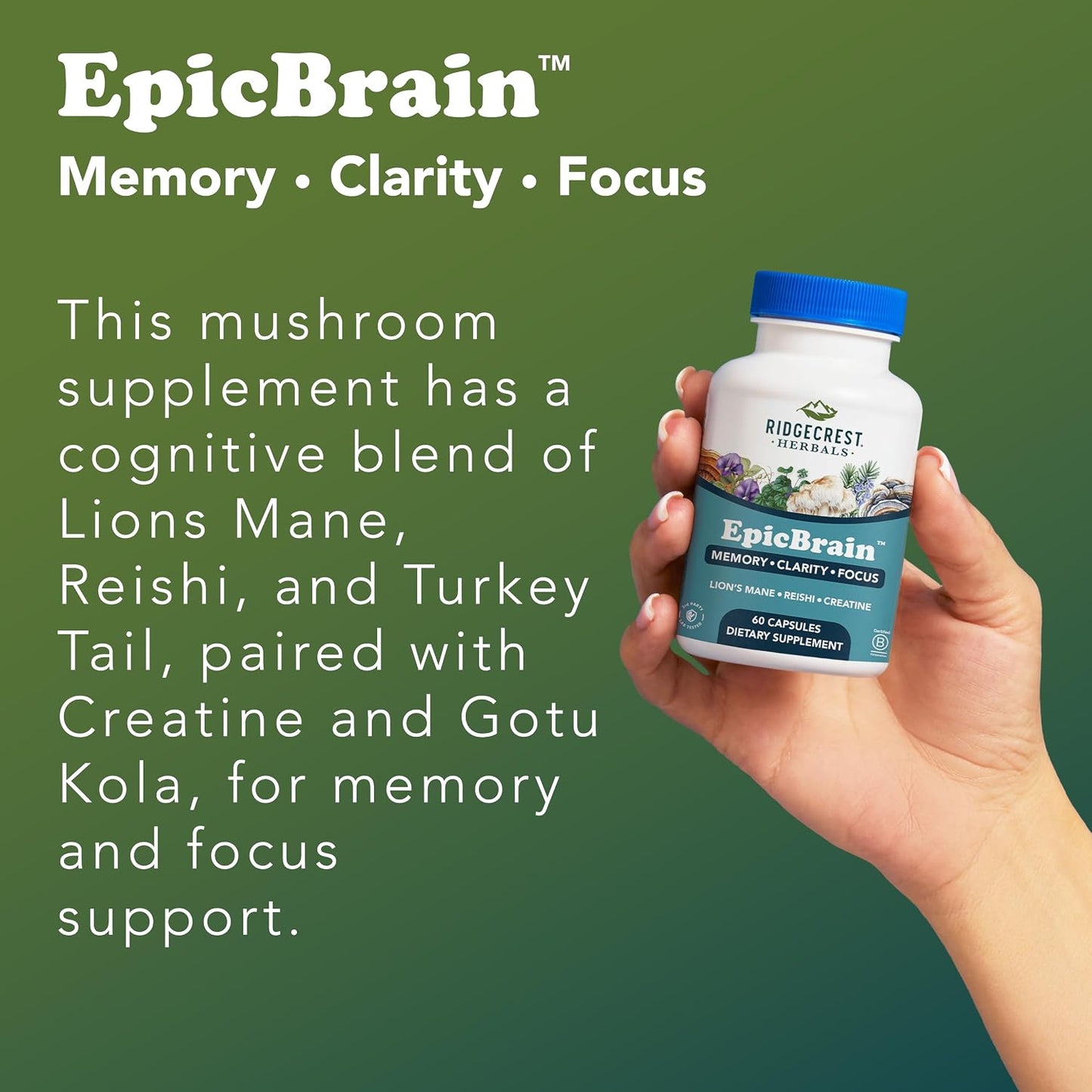 RidgeCrest Herbals EpicBrain Nootropic Memory and Focus Support 60 Ct | 30 Servings, Creatine Monohydrate, Lions Mane, Reishi, Stimulant Free, Mental Clarity and Cognitive Health Formula