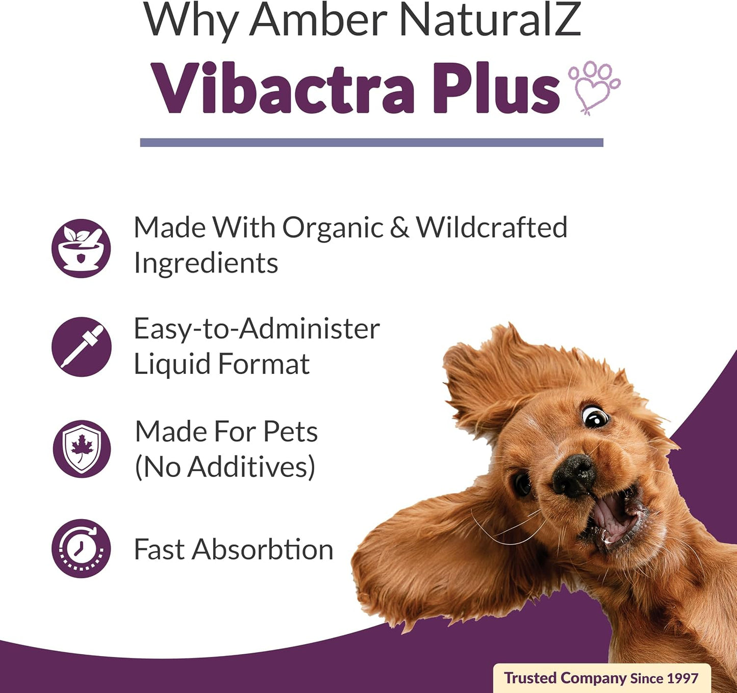 Amber NaturalZ Vibactra Plus for Pets, Immune Health & Yeast Balance, 1 OZ | Supports overall immune health, stomach & respiratory health, helps pets maintain normal yeast balance & a healthy microbiome