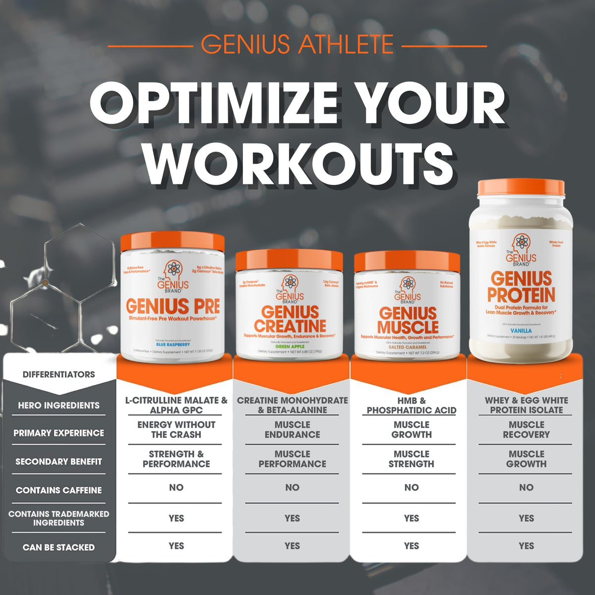 Genius Pre Workout Powder, Blue Raspberry - All-Natural Nootropic Pre-workout & Caffeine
