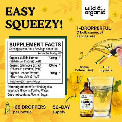 Wild & Organic Mullein Drops for Lungs - Cleanse and Detox - Liquid Mullein Leaf Extract for Lungs with Echinacea - Add to Tea - Verbascum Thapsus Tincture - Sugar & Alcohol-Free Supplement - 4 fl oz