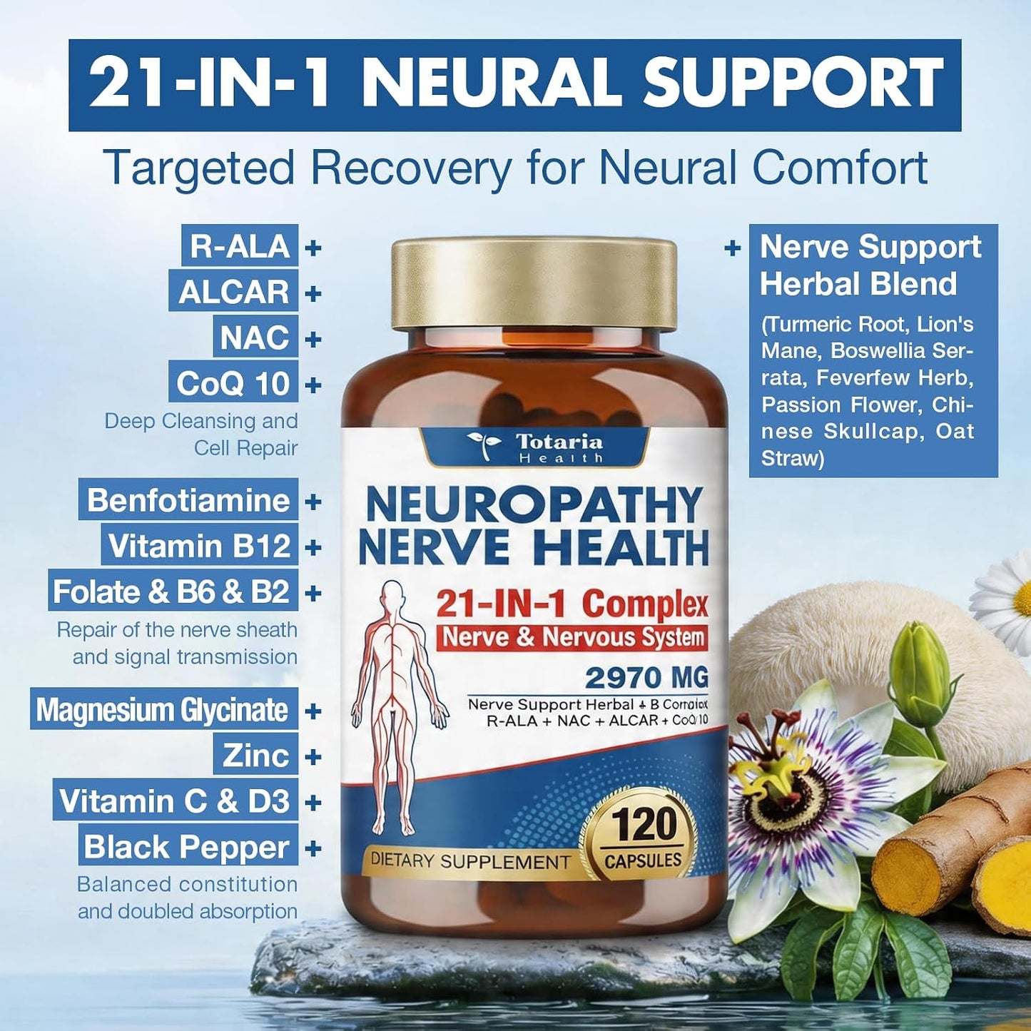 Totaria Alpha Lipoic Acid Neuropathy Supplement - Nerve Health, R Alpha Lipoic Acid 600mg, ALA Supplement Healthy Nerve Function Metabolism and Cell Energy, Non-GMO, Gluten Free, Vegan Safe