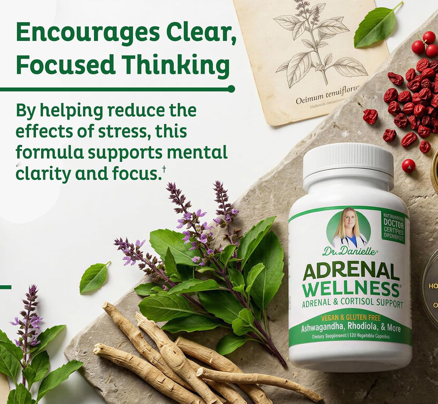 Adrenal Wellness Ashwagandha & More - Organic Mind, Body Support by Dr. Danielle, 120 Capsules