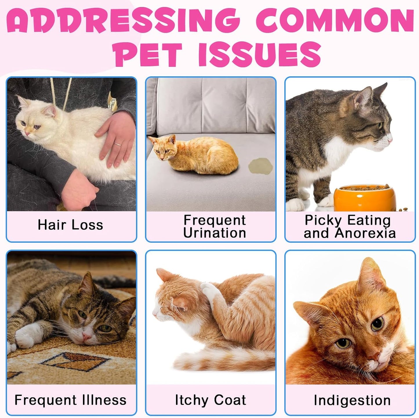 Liquid Collagen for Cats, Cats Collagen Liquid Drops with Biotin, MSM & Ginger Immunity Support, Itch Relief, Skin & Coat and Joint Health Supplement for Cat 60ml