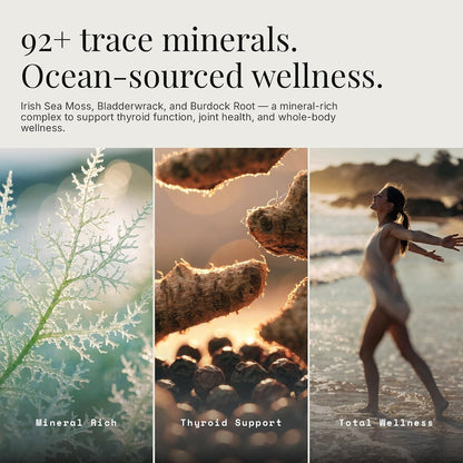 Organic Seamoss+ - Irish Moss 500mg, Bladderwrack 500mg, Burdock Root 400mg with BioPerine - Non-GMO, Made in USA - 60 Capsules (30-Day Supply)