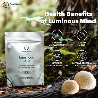 Adapt Naturals Luminous Mind Nootropic Brain Supplement - 30 Day Supply | with Ginkgo Biloba, Bacopa & Lions Mane - Memory, Focus, Mental Clarity & Elevated Mood Support - No Caffeine & Crash Free
