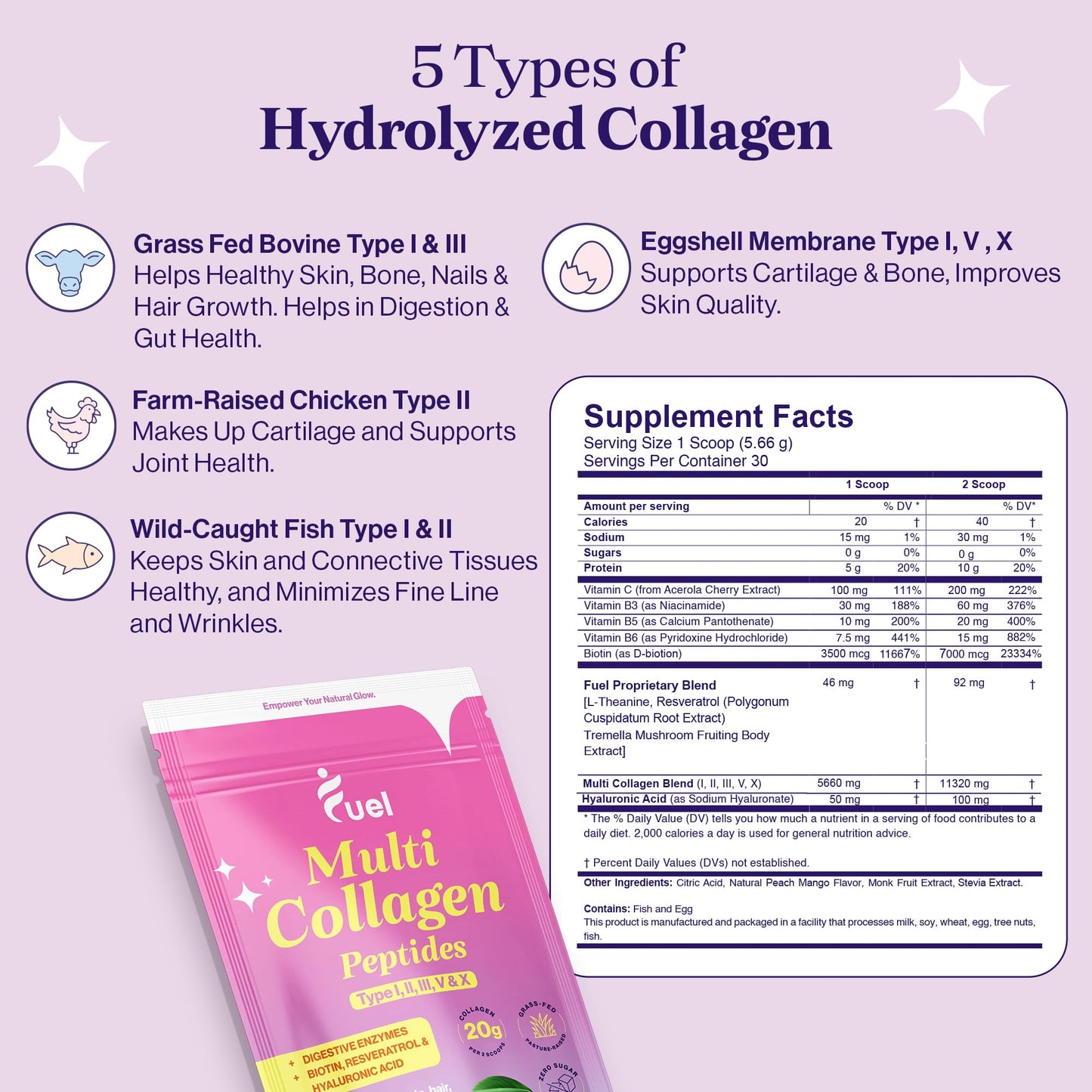 Fuel Multi Collagen Peptides Powder – 20g Hydrolyzed Collagen Types I, II, III, V & X – Hair, Skin, Nails & Joint Support – Keto & Gluten Free – Unflavored – 40 Servings (16.64oz)