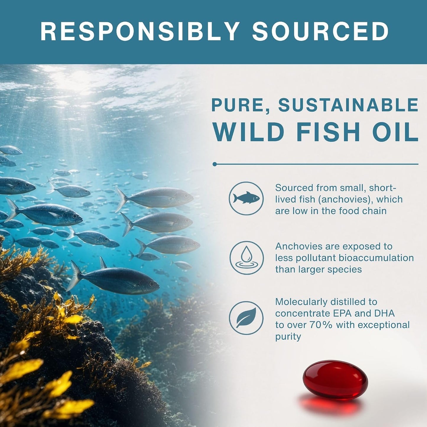 Igennus Ultra Pure Omega 3 Triglyceride rTG Wild Fish Oil 1360mg, IFOS Certified, EPA DHA 1000mg Plus Astaxanthin, Non-GMO, for Men & Women, 180 Softgels