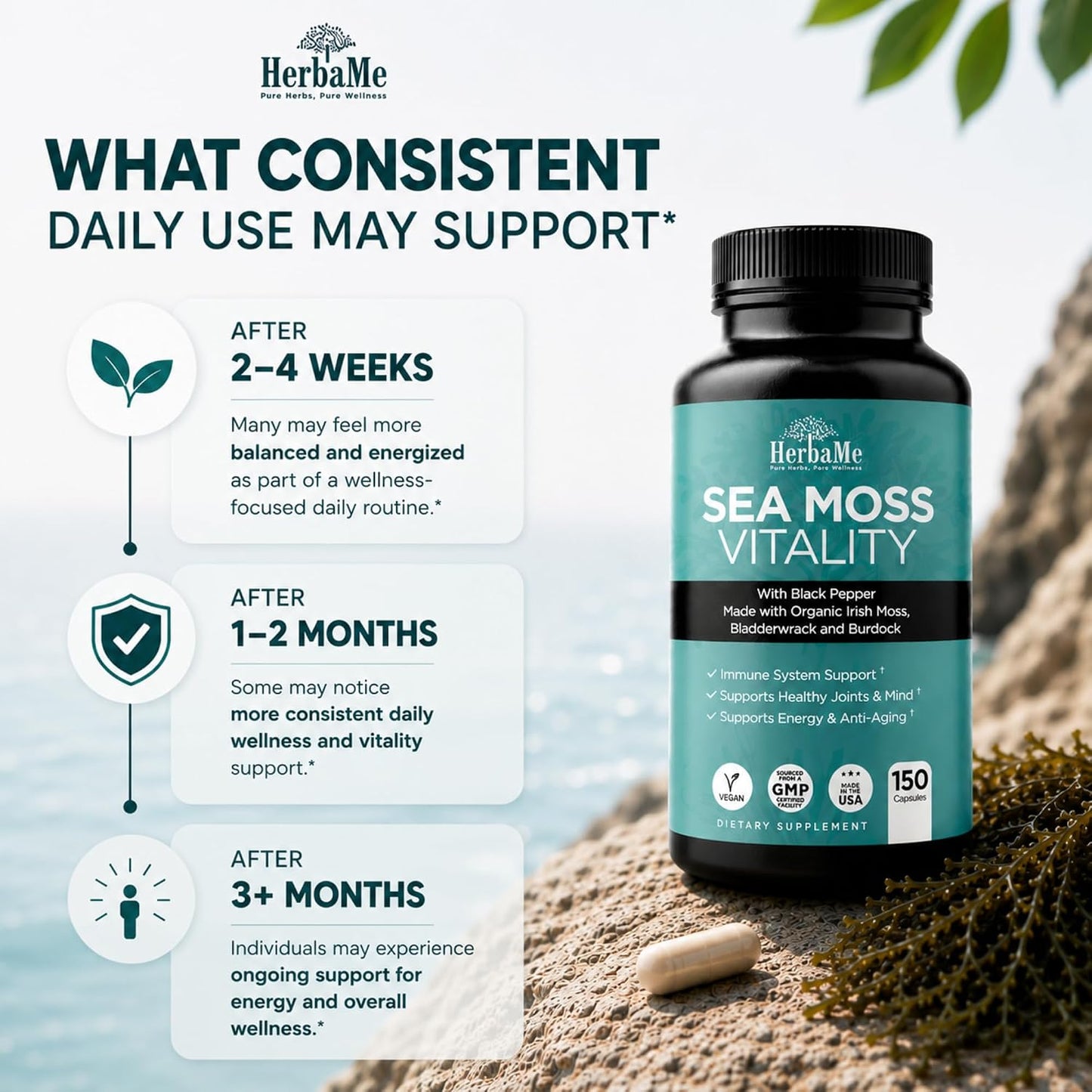HerbaMe Organic Sea Moss Supplement with Bladderwrack & Burdock Root, Irish Moss with Black Pepper Extract, Daily Mineral Support for Energy & Wellness, Immune Support for Men & Women, 150 Capsules