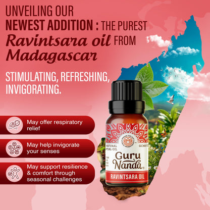 GuruNanda Essential Oils Set – 6 Pack (10mL Each), Lavender, Peppermint, Eucalyptus, Lemongrass, Grapefruit & Ylang Ylang, 100% Natural Aromatherapy Oils for Diffuser, Massage & DIY Candle Making