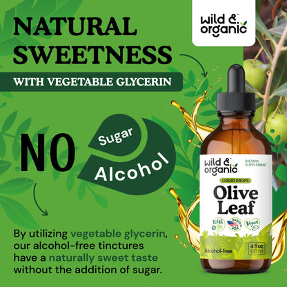 Wild & Organic Olive Leaf Extract Liquid Drops - Immune & Antioxidant Support - Oleuropein Supplement - Add to Tea Olive Leaf Tincture - Vegan, Sugar & Alcohol Free - 4 fl oz