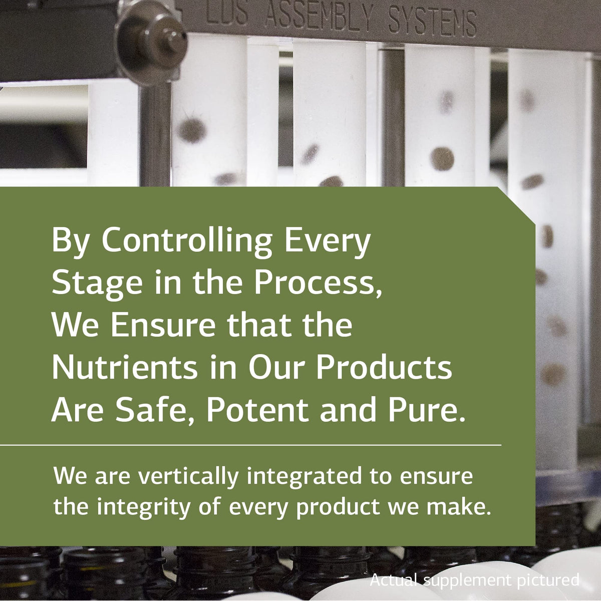 Standard Process Collinsonia Root - Whole Food Vascular Supplement, Digestive Health