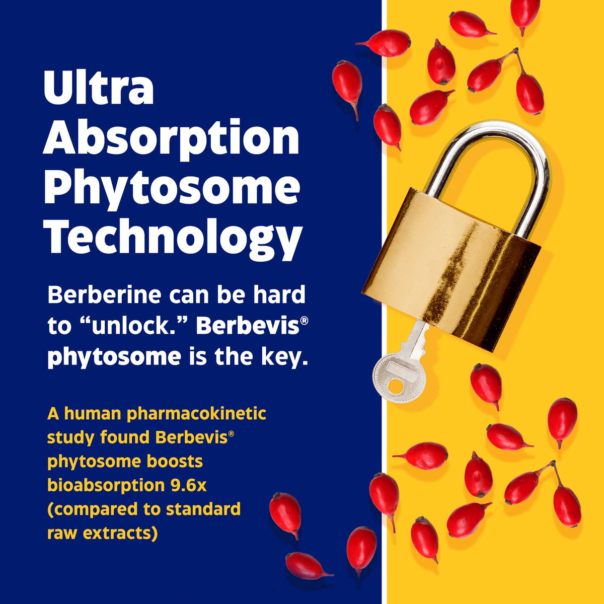 Enzymedica, Berberine Phytosome