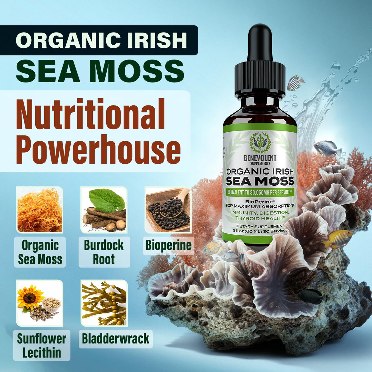 Irish Sea Moss Drops 2oz - Irish Sea Moss Organic, Burdock Root, Bladderwrack & BioPerine