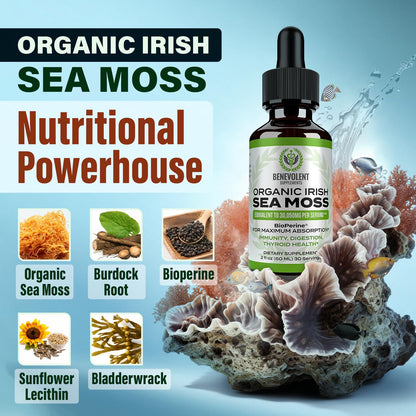 Irish Sea Moss Drops 2oz - Irish Sea Moss Organic, Burdock Root, Bladderwrack & BioPerine