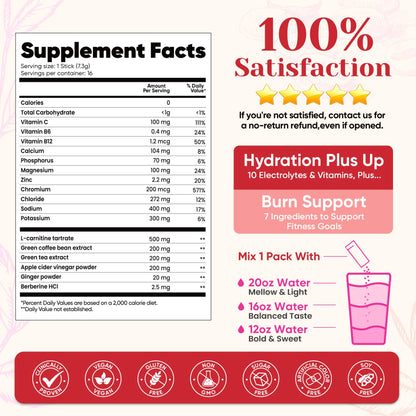 Venture Pal Electrolyte Packets + Burn Support, Sugar Free, 16 Sticks | 7 Electrolytes + L-Carnitine, Berberine, ACV, Chromium, Green Tea, Metabolic Support, Keto Friendly, Vegan, Liquid Daily IV