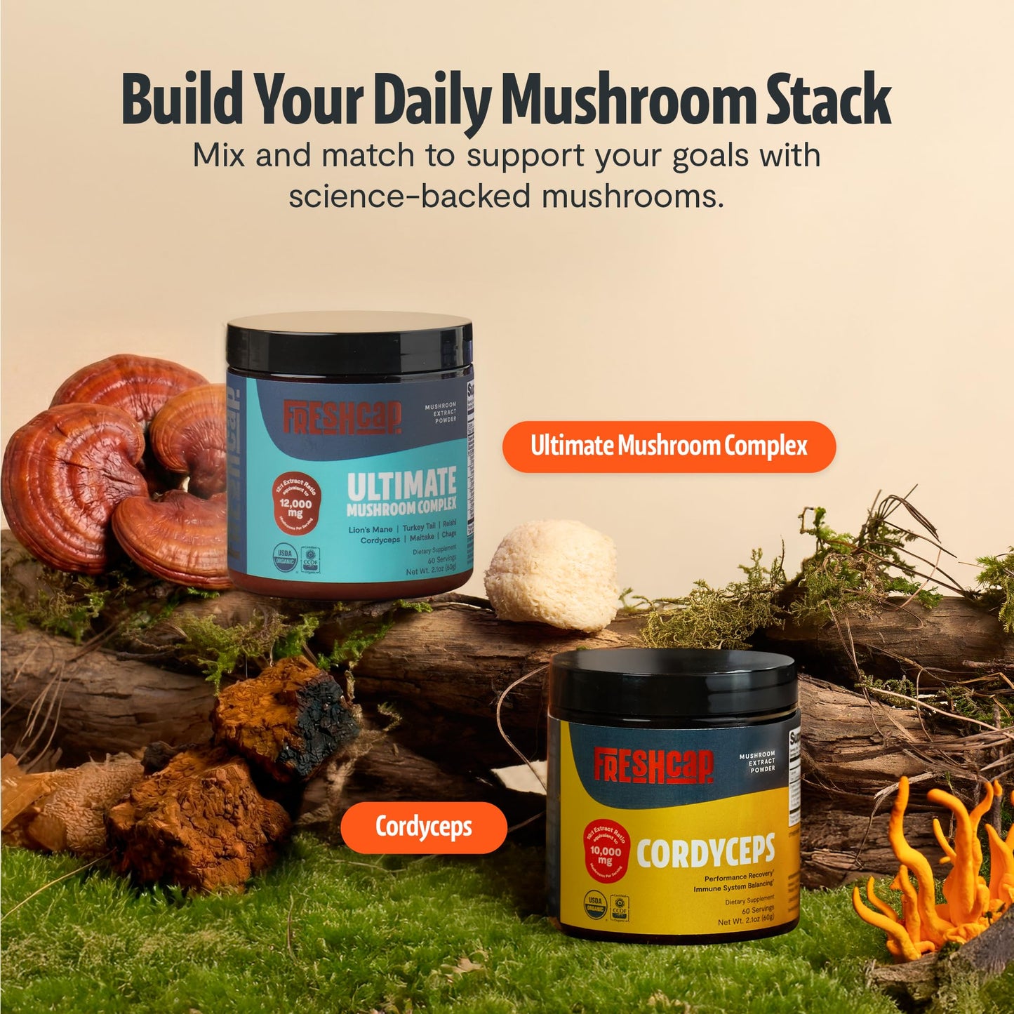 Premium Organic Mushroom Coffee – 12:1 Fruiting Body Extract – 29% Beta-Glucans – Smooth Tasting, 3rd-Party Tested for Clean Energy, No Jitters, Focus, Immune Support (15 Servings)