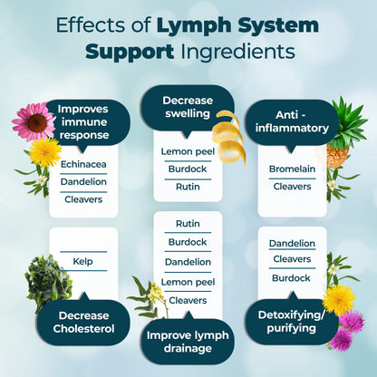 PUREHEALTH RESEARCH Lymph System Support Supplement - Lymphatic Drainage Supplement