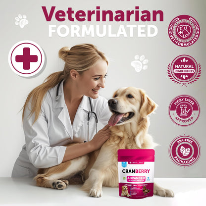 Dog Multivitamin Chewable with Glucosamine 26 in 1 - Dog Vitamins and Supplements - Senior & Puppy Multivitamin for Dogs - Pet Joint Support Health - Immunity, Mobility, Gut Skin - 120 Chews