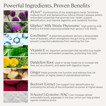 Stonehenge Health Dynamic Liver – Siliphos Milk Thistle Formula – Liver Support & Antioxidant Support, Gut-Liver Axis, Selenium, Zinc, Vitamin E, Ginger, Beetroot Extract Non-GMO, 60 Veg Caps (3 Pack)