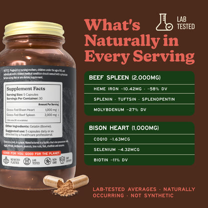 MK Supplements Grass-Fed Desiccated Beef Liver, Non-Defatted, Made in USA | 3,000mg per serving, 150 capsules, 30 servings, freeze-dried, regeneratively raised, amber glass bottle, family owned