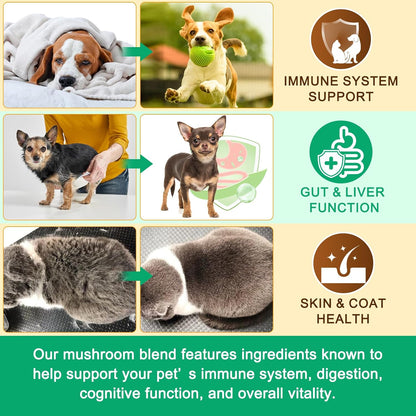 Mushroom Supplement Powder for Dogs & Cats, 11 Beneficial Mushroom Complex for Immune Support, Cellular Protection, Heart & Brain Health Lion's Mane, Reishi & Turkey Tail, Bacon Flavor - 120g