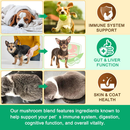 Mushroom Supplement Powder for Dogs & Cats, 11 Beneficial Mushroom Complex for Immune Support, Cellular Protection, Heart & Brain Health Lion's Mane, Reishi & Turkey Tail, Bacon Flavor - 120g