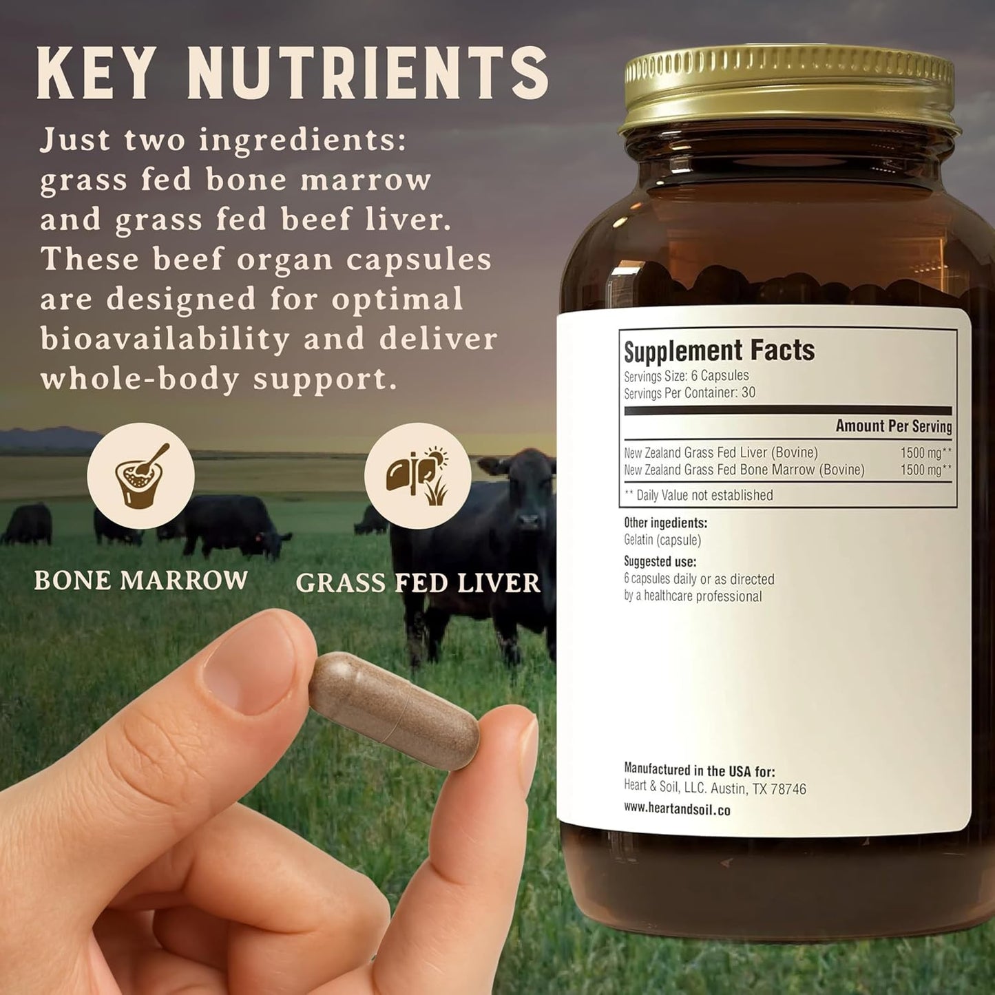 HEART & SOIL Bone Marrow & Beef Liver, 180 Capsules | 100% grass fed & finished from regenerative cattle. Supports bones, joints, tissue & skin. 3000mg for women & men.