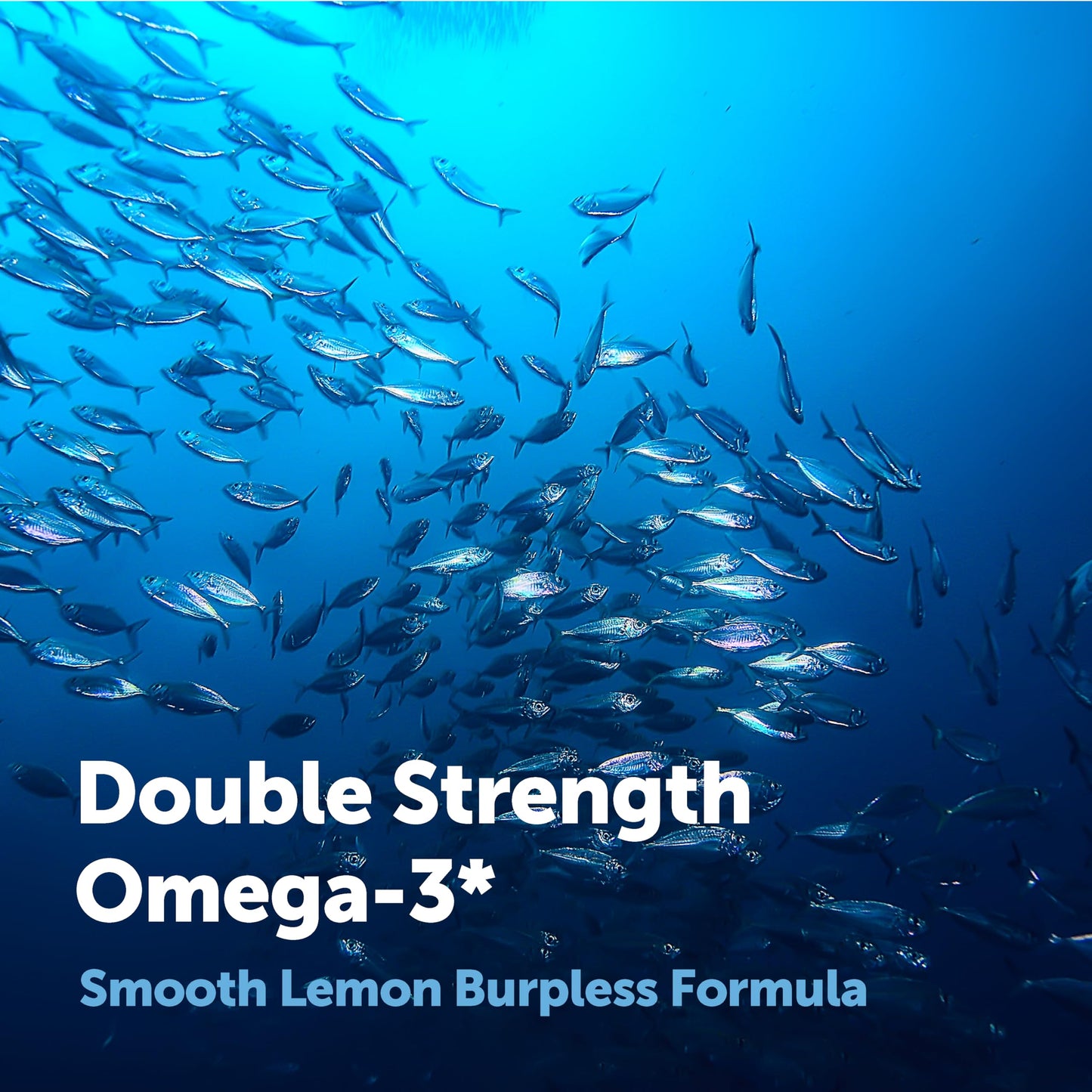 Micro Ingredients Omega 3 Fish Oil Supplements 3,000mg Per Serving, 240 Softgels | Lemon Flavored – Burpless | EPA 540mg + DHA 360mg | Deep Sea Fish