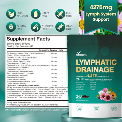 Lymphatic Drainage Supplements, 240 Softgels, Lymph System Support Supplement for Women & Men, 21-in-1 Herbal Blend with Echinacea, Dandelion, Burdock, Bromelain, Calendula, Turmeric & More, 1 Bag