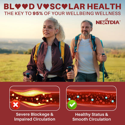 Red Yeast Rice Gummies 2400MG with CoQ10, Suagr Free Balanced Chṏlesterṏl Supplements Plus Citrus Bergamot, Plant Sterols & Stanols Supports Vḁsculḁr Health, Energy, Immunity for Age 50+,Vegan,60 Cts
