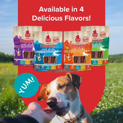Plato Pet Treats Thinkers - Meat Stick Treats for Dogs - Limited Ingredient with EPA and DHA to Support Skin, Coat, and Brain - Air-Dried - Thinkers Salmon 10oz - 2 Pack