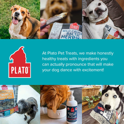 Plato Single Ingredient Wild-Caught Cod Skin Bites Dog Treats, Air-Dried Omega-Rich Skin & Coat Support, 10 oz