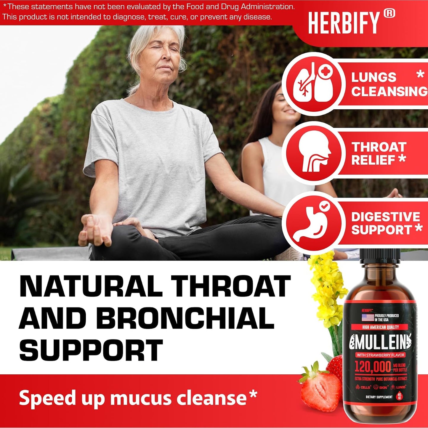 HERBIFY Bundle - Lions Mane & Mullein 4 Fl Oz Strawberry Drops - Supplement for Memory, Focus & Clarity & Immune Support, Lung Cleanse and Bronchial Support