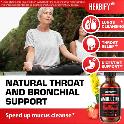 HERBIFY Bundle - Lions Mane & Mullein 4 Fl Oz Strawberry Drops - Supplement for Memory, Focus & Clarity & Immune Support, Lung Cleanse and Bronchial Support