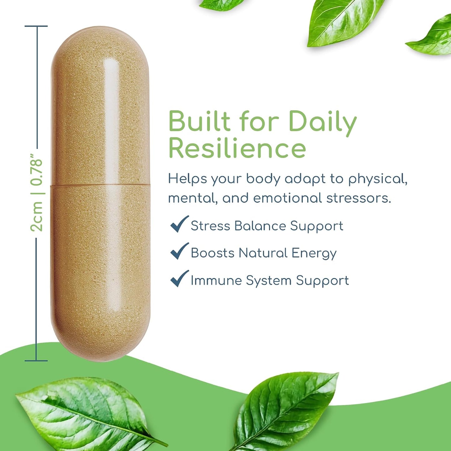 Adaptogen Immune, Adaptogens Supplements, Ashwagandha Supplements with Siberian Ginseng, Astragalus Root, and More - Promotes Healthy Body Functioning - Stress Relief Supplement, 120 Capsules