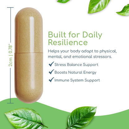 Adaptogen Immune, Adaptogens Supplements, Ashwagandha Supplements with Siberian Ginseng, Astragalus Root, and More - Promotes Healthy Body Functioning - Stress Relief Supplement, 120 Capsules