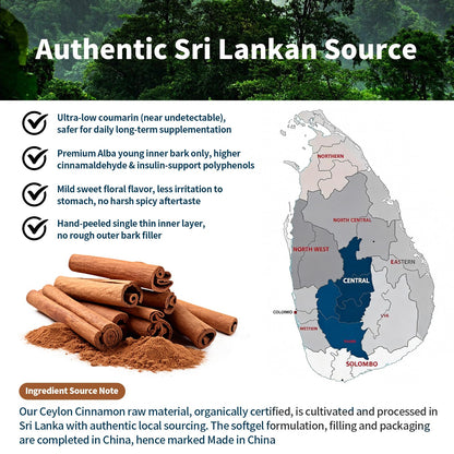 2-in-1 Organic Ceylon Cinnamon with MCT Oil Supplements Softgels, 120 Day Supply, Authentic Sri Lankan Source, Liposome Highly Bioavailable Extract, Energy & Metabolism Support, Large Granule Softgels