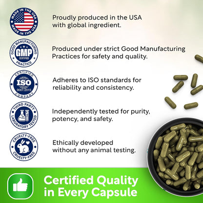 USDA Organic Spearmint Capsules | Digestive Support, 1200mg | 60-Day Supply