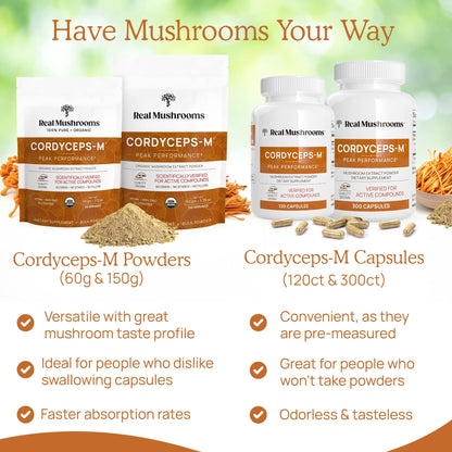 Real Mushrooms Cordyceps Capsules - Performance Mushroom Extract Supplement
