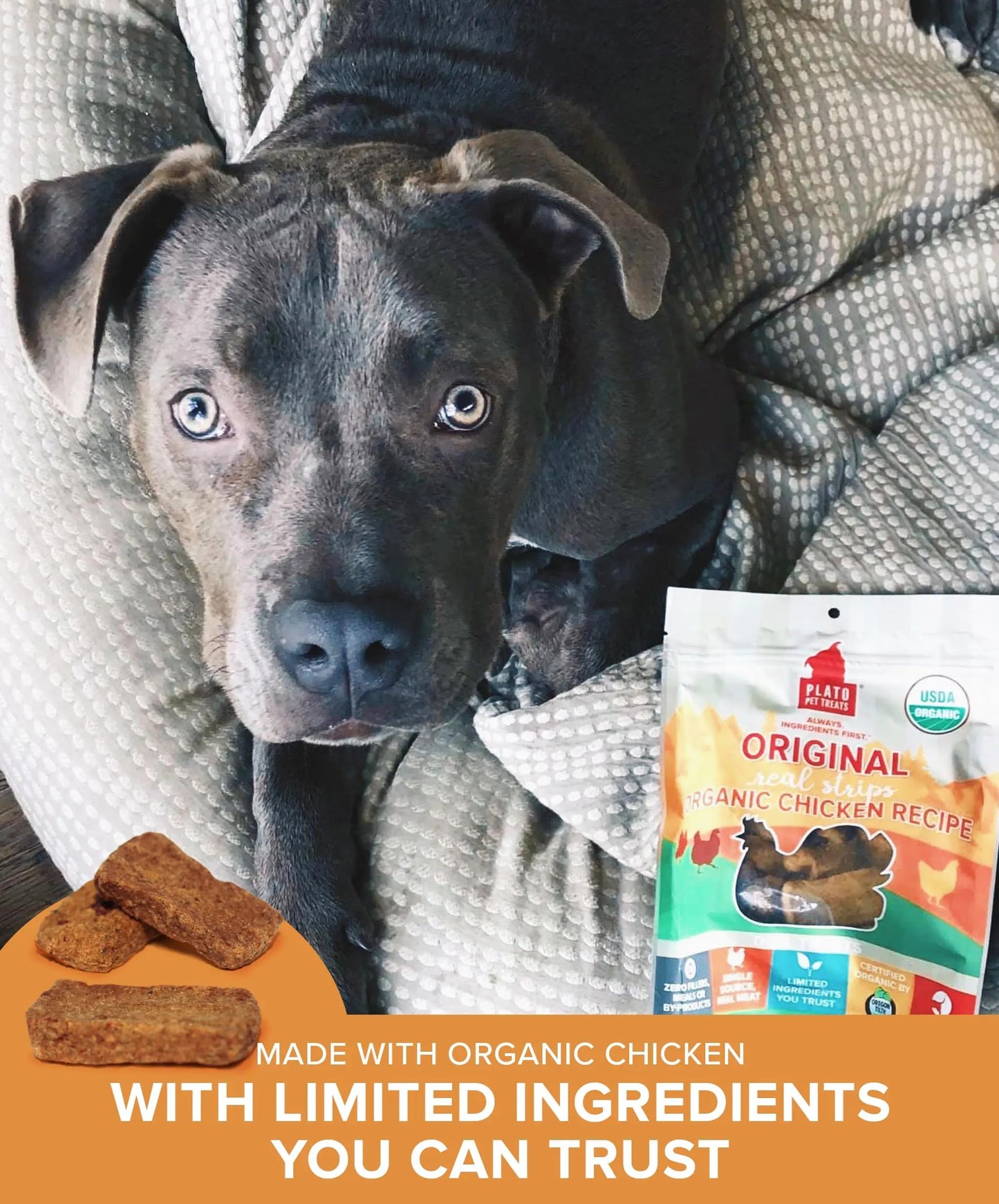 Plato Pet Treats Real Strips - Air-Dried Meat Bars for Dogs - Delicious, Limited Ingredient Dog Treats - Grain Free - Original Real Strips Turkey & Pumpkin 18oz - 2 Pack