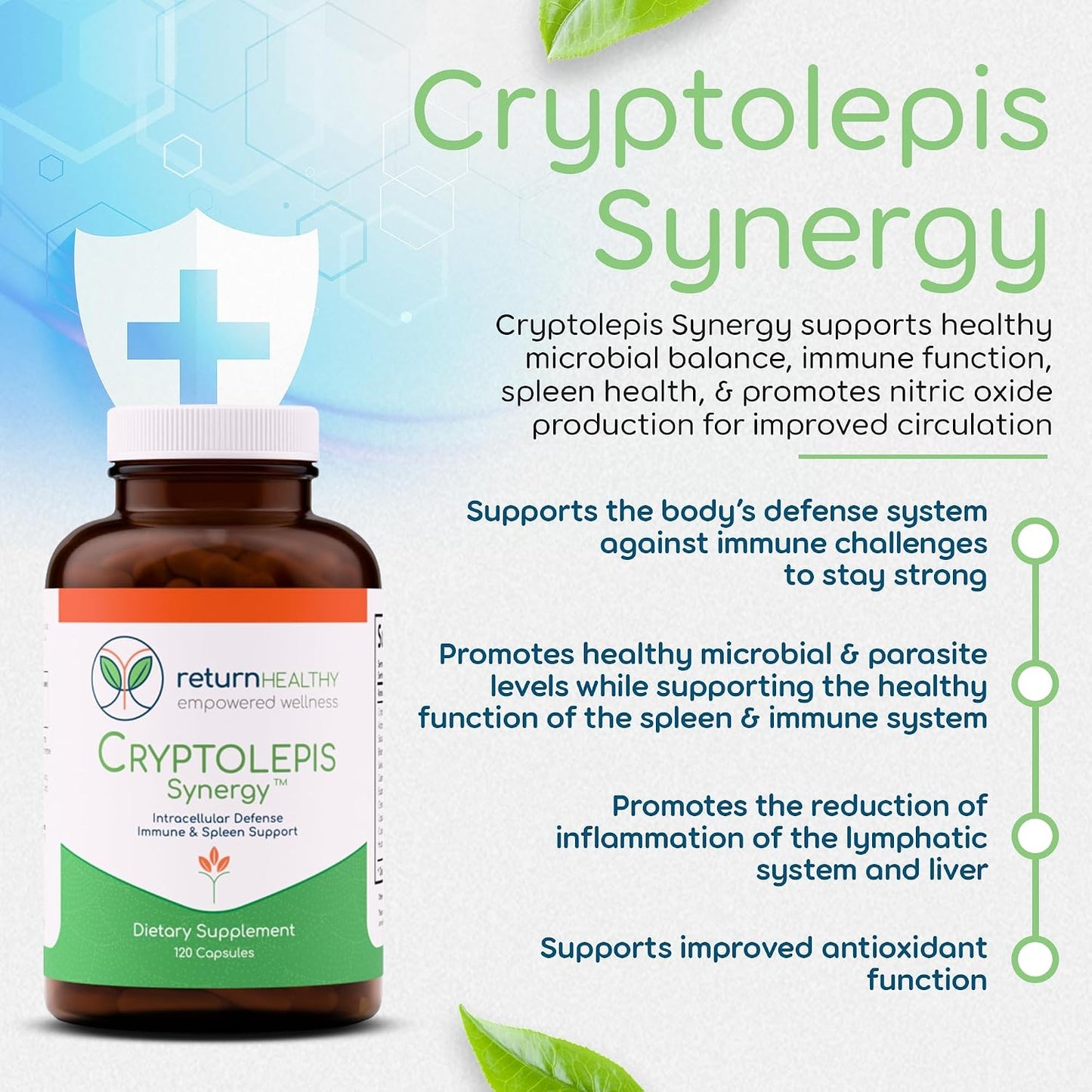 Lyme and Co-Infection Recovery Kit 7-Supplement Microbial Gut Cleanse Kit - Cleansing Supplements for Gut, Adaptogens, Binder Blend, Cryptolepis & More - Non-GMO, Plant-Based, USA-Made