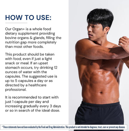 BodyHealth Organ+ Grass-Fed Glandular Organ Complex, Grassfed Beef Organ Supplement, Dessicated Beef Liver, Heart, Kidney, Pancreas, Spleen, Non GMO, Adrenal, Supplement, (150 Capsules)